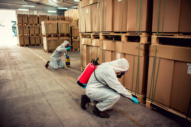Best Pest Control Near Me  in Lynden, WA
