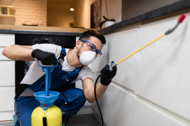 Best Best Pest Control Companies  in Lynden, WA