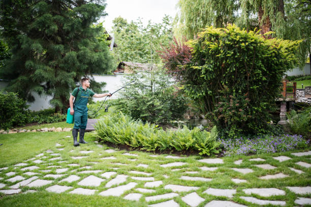 Best Exterminator Services  in Lynden, WA