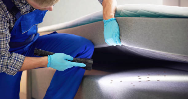 Best Mosquito Control Services  in Lynden, WA