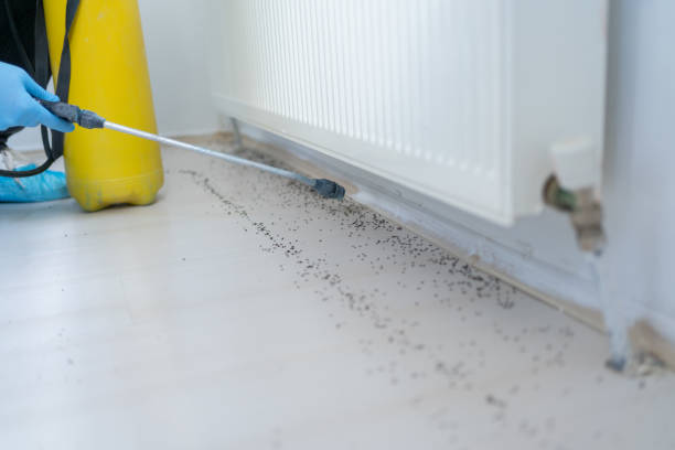 Best Cockroach Control Services  in Lynden, WA