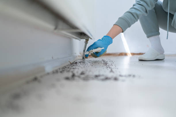 Best Commercial Pest Control Services  in Lynden, WA